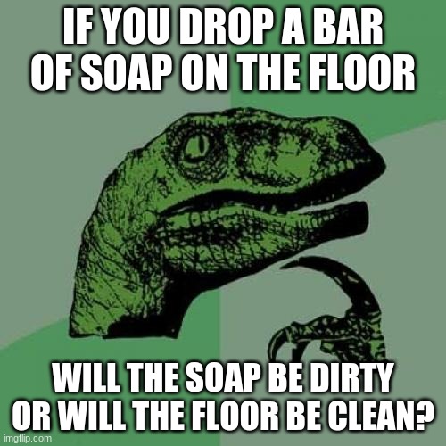 what do you guys think (bruh i don't even know XD) | IF YOU DROP A BAR OF SOAP ON THE FLOOR; WILL THE SOAP BE DIRTY OR WILL THE FLOOR BE CLEAN? | image tagged in memes,philosoraptor | made w/ Imgflip meme maker