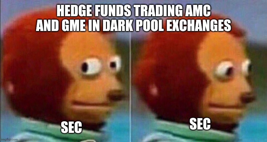 Sec AMC gme | HEDGE FUNDS TRADING AMC AND GME IN DARK POOL EXCHANGES; SEC; SEC | image tagged in monkey looking away | made w/ Imgflip meme maker