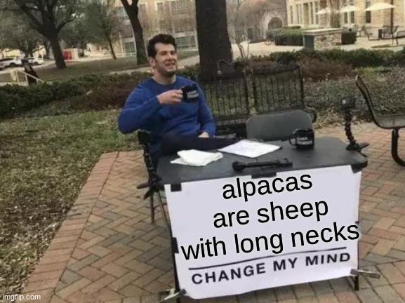 baa | alpacas are sheep with long necks | image tagged in memes,change my mind,alpaca,sheep | made w/ Imgflip meme maker
