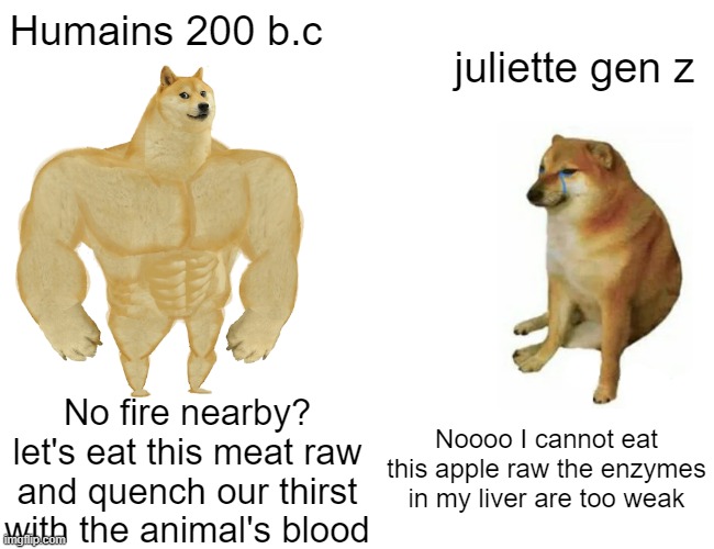 Gen z | Humains 200 b.c; juliette gen z; Noooo I cannot eat this apple raw the enzymes in my liver are too weak; No fire nearby? let's eat this meat raw and quench our thirst with the animal's blood | image tagged in memes,buff doge vs cheems | made w/ Imgflip meme maker