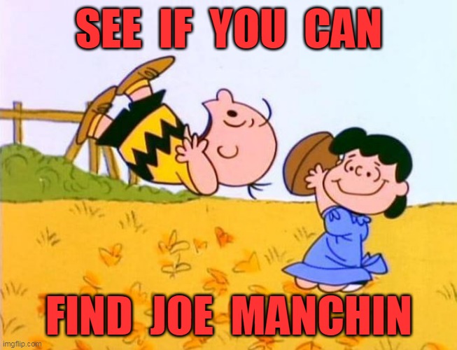 FIND JOE MANCHIN | SEE  IF  YOU  CAN; FIND  JOE  MANCHIN | image tagged in democrats,manchin | made w/ Imgflip meme maker