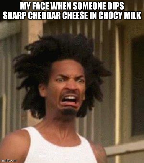 MY FACE WHEN SOMEONE DIPS SHARP CHEDDAR CHEESE IN CHOCY MILK | image tagged in cheese,choccy milk | made w/ Imgflip meme maker