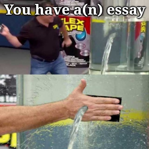 Bad Counter | You have a(n) essay | image tagged in bad counter | made w/ Imgflip meme maker