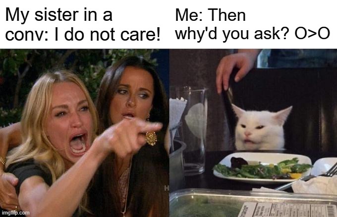 exactly -_- | My sister in a conv: I do not care! Me: Then why'd you ask? O>O | image tagged in memes,woman yelling at cat | made w/ Imgflip meme maker