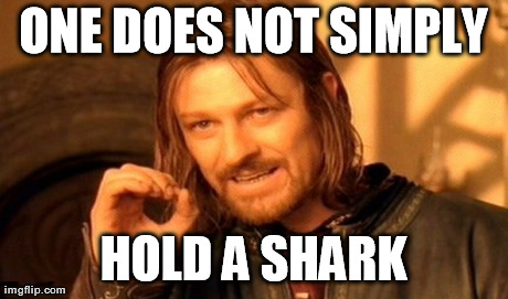 One Does Not Simply Meme | ONE DOES NOT SIMPLY HOLD A SHARK | image tagged in memes,one does not simply | made w/ Imgflip meme maker