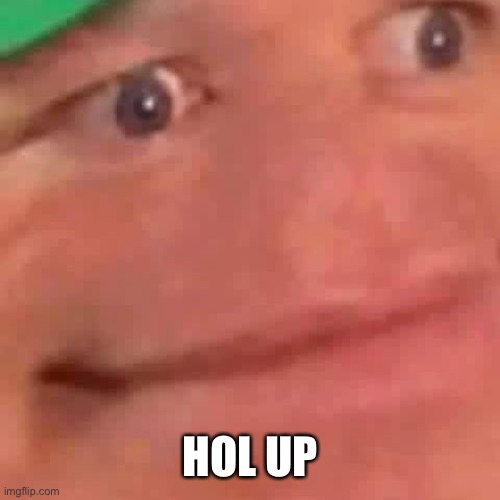 When i see rule 34 | HOL UP | image tagged in wait hol up | made w/ Imgflip meme maker