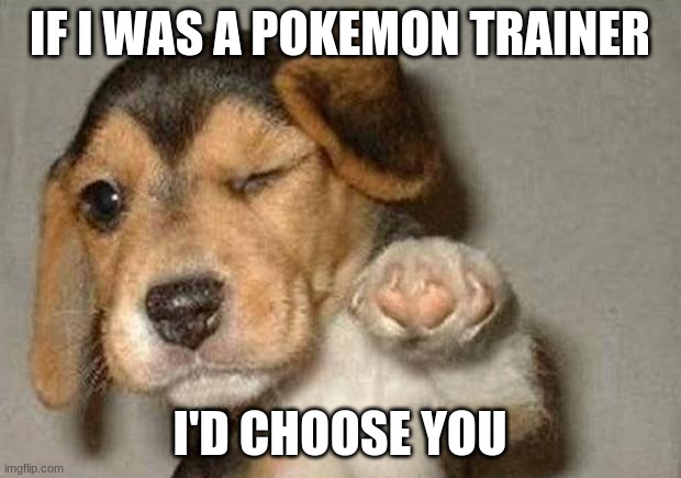 Winking Dog | IF I WAS A POKEMON TRAINER; I'D CHOOSE YOU | image tagged in winking dog | made w/ Imgflip meme maker