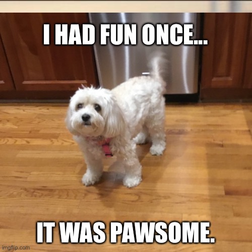 Pawsome |  I HAD FUN ONCE... IT WAS PAWSOME. | image tagged in paw patrol | made w/ Imgflip meme maker