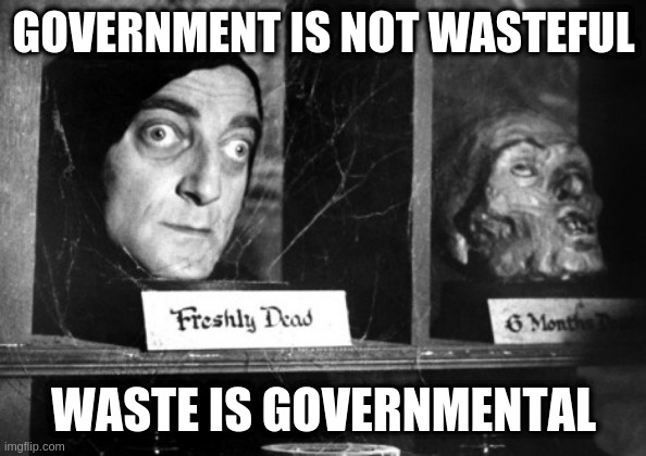 Freshly DeaD | GOVERNMENT IS NOT WASTEFUL; WASTE IS GOVERNMENTAL | image tagged in freshly dead | made w/ Imgflip meme maker