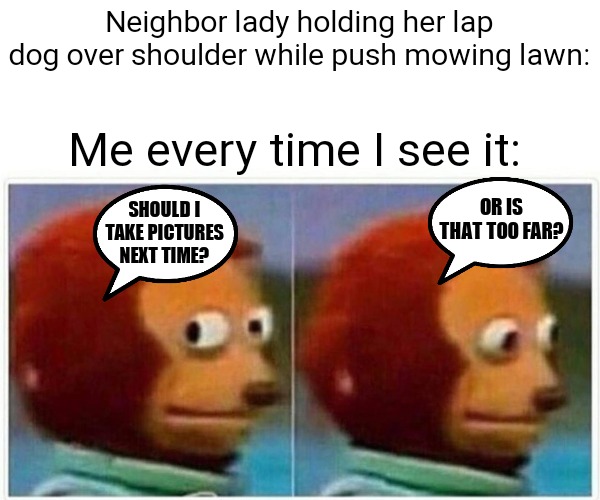 Seriously... my neighbor does this | Neighbor lady holding her lap dog over shoulder while push mowing lawn:; Me every time I see it:; SHOULD I TAKE PICTURES NEXT TIME? OR IS THAT TOO FAR? | image tagged in memes,monkey puppet,doge,dogs | made w/ Imgflip meme maker