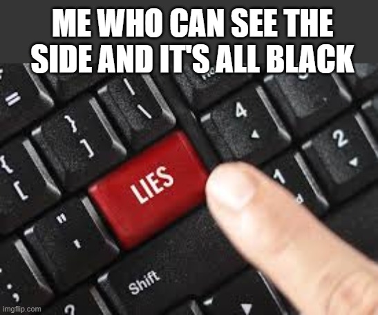 Lies | ME WHO CAN SEE THE SIDE AND IT'S ALL BLACK | image tagged in lies | made w/ Imgflip meme maker