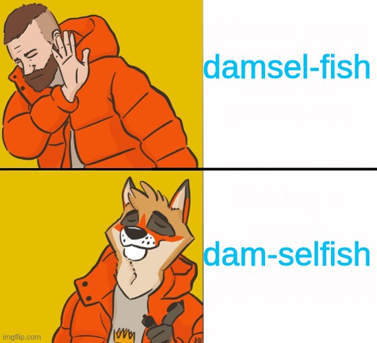 Furry Drake | damsel-fish dam-selfish | image tagged in furry drake | made w/ Imgflip meme maker