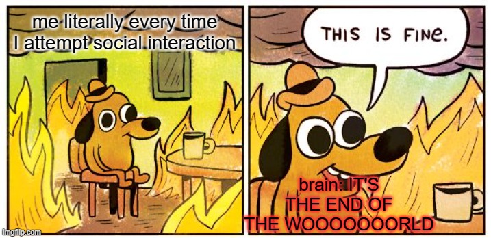 This Is Fine | me literally every time I attempt social interaction; brain: IT'S THE END OF THE WOOOOOOORLD | image tagged in memes,this is fine | made w/ Imgflip meme maker