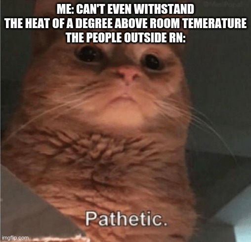 Pathetic Cat | ME: CAN'T EVEN WITHSTAND THE HEAT OF A DEGREE ABOVE ROOM TEMERATURE
THE PEOPLE OUTSIDE RN: | image tagged in pathetic cat | made w/ Imgflip meme maker