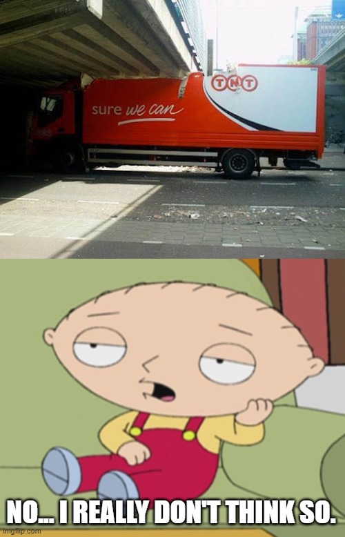 I agree with Stewie | NO... I REALLY DON'T THINK SO. | image tagged in ironic,funny,memes,family guy,wasting time coming up with tags,bored stewie | made w/ Imgflip meme maker