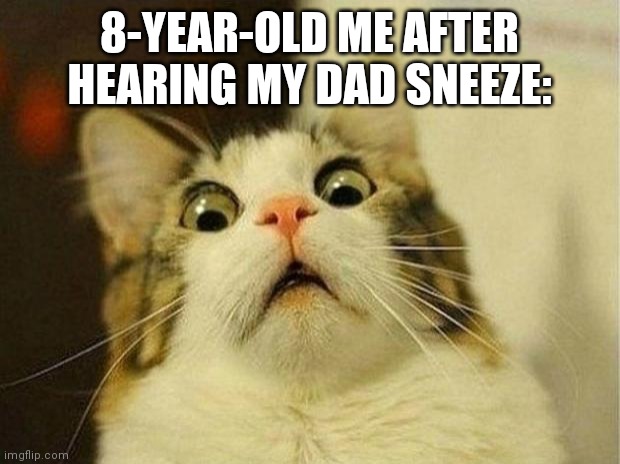 It's So Loud That It Was Concerning | 8-YEAR-OLD ME AFTER HEARING MY DAD SNEEZE: | image tagged in memes,scared cat | made w/ Imgflip meme maker