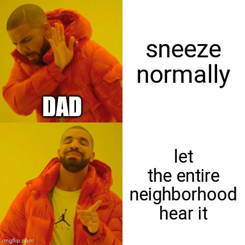 It's So Loud That I Can Hear It From A Floor Away With Doors Shut | sneeze normally; DAD; let the entire neighborhood hear it | image tagged in memes,drake hotline bling | made w/ Imgflip meme maker