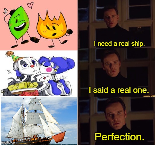 perfection | I need a real ship. I said a real one. Perfection. | image tagged in perfection,relationships | made w/ Imgflip meme maker