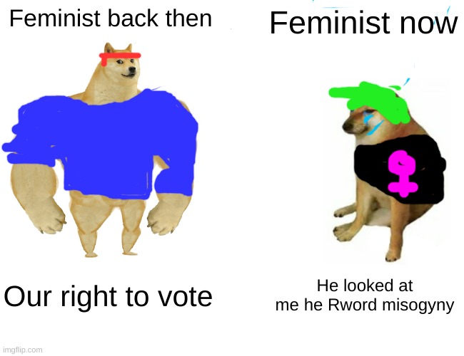 This is a joke and it's meant to be taken lightly | Feminist back then; Feminist now; Our right to vote; He looked at me he Rword misogyny | image tagged in memes,buff doge vs cheems | made w/ Imgflip meme maker
