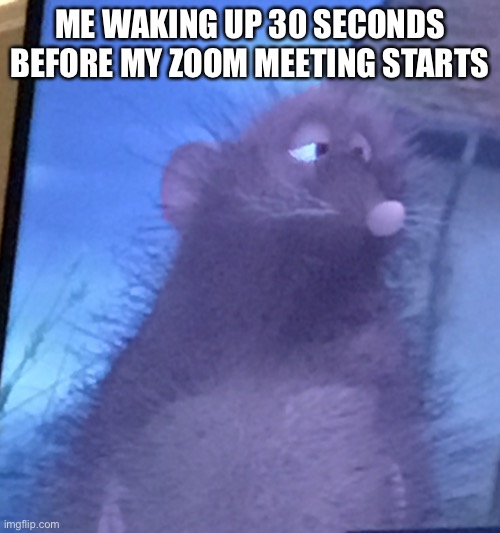 ratatouille | ME WAKING UP 30 SECONDS BEFORE MY ZOOM MEETING STARTS | image tagged in ratatouille,funny memes,zoom,covid | made w/ Imgflip meme maker