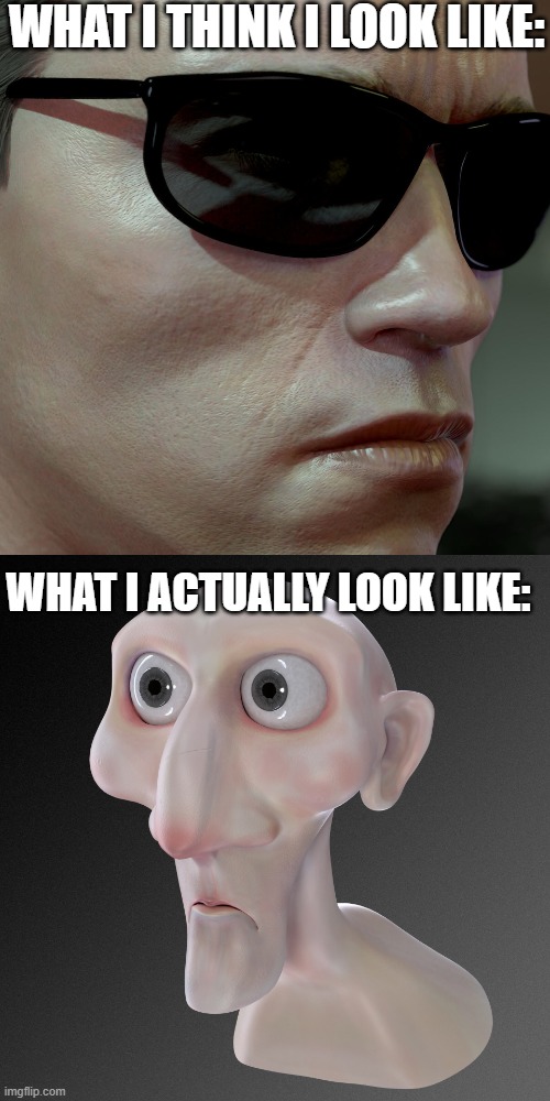I dont really look like that. ;p | WHAT I THINK I LOOK LIKE:; WHAT I ACTUALLY LOOK LIKE: | image tagged in ugly,handsome | made w/ Imgflip meme maker