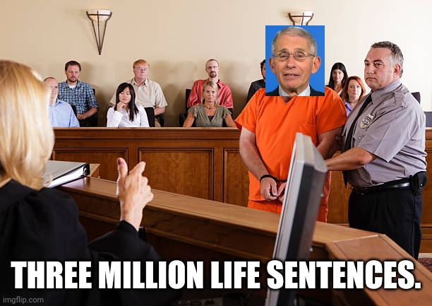 What justice would look like | THREE MILLION LIFE SENTENCES. | image tagged in dr fauci,wuhan | made w/ Imgflip meme maker