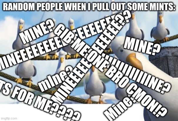 Finding Nemo Seagulls | RANDOM PEOPLE WHEN I PULL OUT SOME MINTS:; MINE? MINEEEEEEEEEEEEEEEEEEE? MINE? MINEEEEEEEEEEEEE? MIIIIIIIIIIIIIINE? GIB ME ONE BRO CMON!? mIne? Mine? ITS FOR ME???? | image tagged in finding nemo seagulls | made w/ Imgflip meme maker