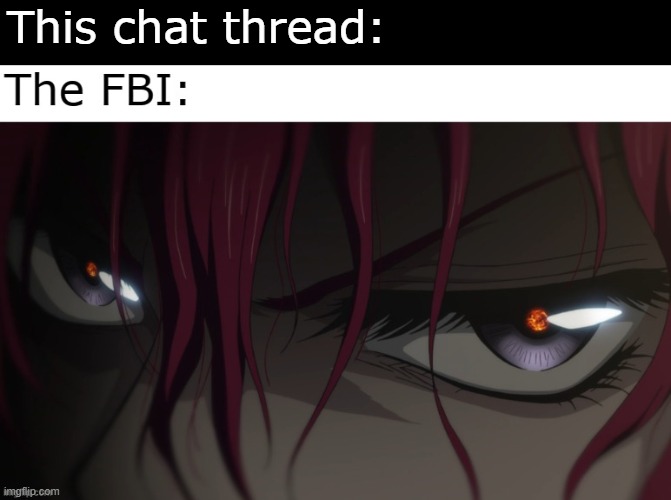 Someone is watching | This chat thread: | image tagged in chat,watching,fbi | made w/ Imgflip meme maker