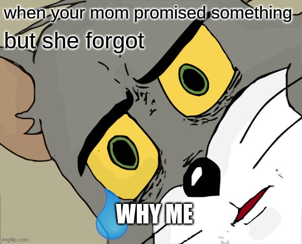 Unsettled Tom | when your mom promised something; but she forgot; WHY ME | image tagged in memes,unsettled tom | made w/ Imgflip meme maker