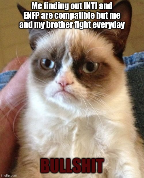 Grumpy Cat Meme | Me finding out INTJ and ENFP are compatible but me and my brother fight everyday; BULLSHIT | image tagged in memes,grumpy cat,mbtimemes | made w/ Imgflip meme maker