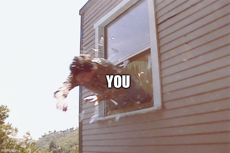 Jump Out A Window | YOU | image tagged in jump out a window | made w/ Imgflip meme maker