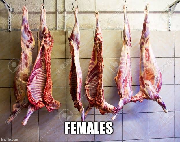 meat | FEMALES | image tagged in incel | made w/ Imgflip meme maker