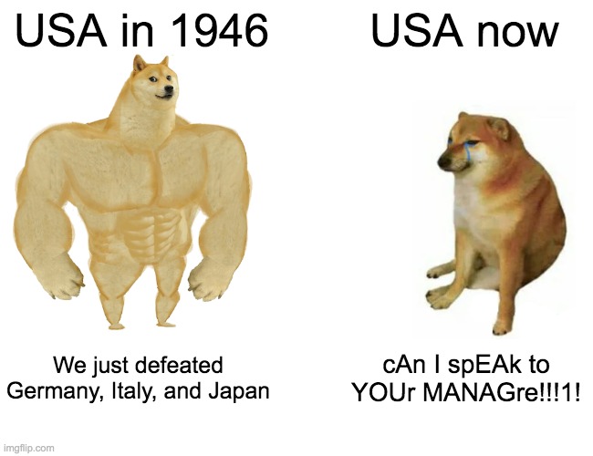 Crnvrs | USA in 1946; USA now; We just defeated Germany, Italy, and Japan; cAn I spEAk to YOUr MANAGre!!!1! | image tagged in memes,buff doge vs cheems | made w/ Imgflip meme maker