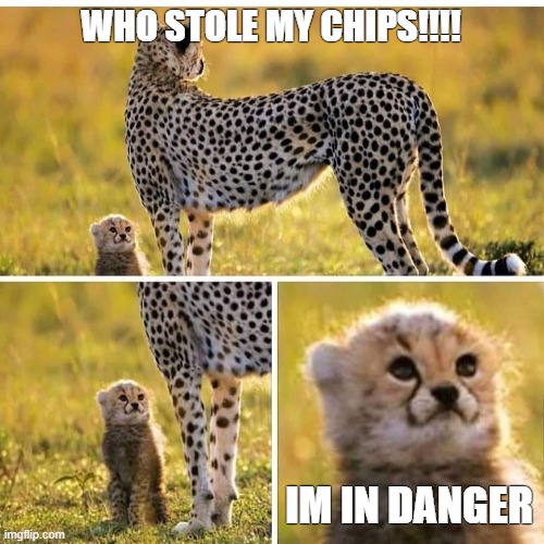 Cheetah Mom with Scared Cub | WHO STOLE MY CHIPS!!!! IM IN DANGER | image tagged in cheetah mom with scared cub | made w/ Imgflip meme maker