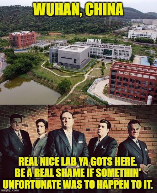 Maybe this is what really happened... | WUHAN, CHINA REAL NICE LAB YA GOTS HERE. BE A REAL SHAME IF SOMETHIN' UNFORTUNATE WAS TO HAPPEN TO IT. | image tagged in wuhan lab,sopranos | made w/ Imgflip meme maker