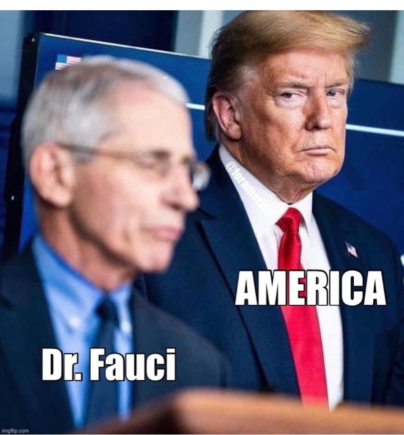 The face speaks for all of us | image tagged in maga | made w/ Imgflip meme maker