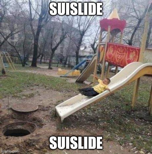 I'm not suicudeal btw | SUISLIDE; SUISLIDE | image tagged in suislide | made w/ Imgflip meme maker