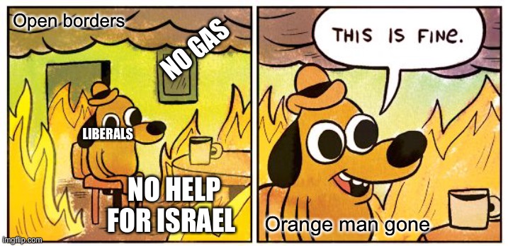 W | Open borders; NO GAS; LIBERALS; NO HELP FOR ISRAEL; Orange man gone | image tagged in memes,this is fine | made w/ Imgflip meme maker