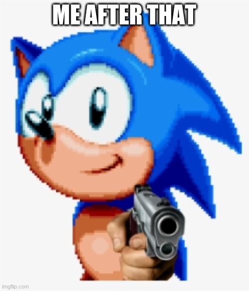 Sonic gun pointed | ME AFTER THAT | image tagged in sonic gun pointed | made w/ Imgflip meme maker
