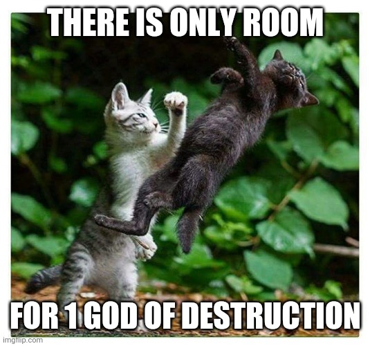 Knockout Cat | THERE IS ONLY ROOM; FOR 1 GOD OF DESTRUCTION | image tagged in knockout cat | made w/ Imgflip meme maker