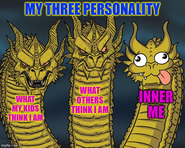 The three of ME | MY THREE PERSONALITY; WHAT OTHERS THINK I AM; INNER ME; WHAT MY KIDS THINK I AM | image tagged in three-headed dragon | made w/ Imgflip meme maker
