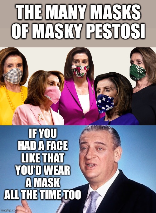We Should Make It a Law That She Wear Her Mask Always | THE MANY MASKS OF MASKY PESTOSI; IF YOU HAD A FACE LIKE THAT YOU’D WEAR A MASK ALL THE TIME TOO | image tagged in masky pestosioci,cause the mask you wear today are the eyes you save tomorrow | made w/ Imgflip meme maker