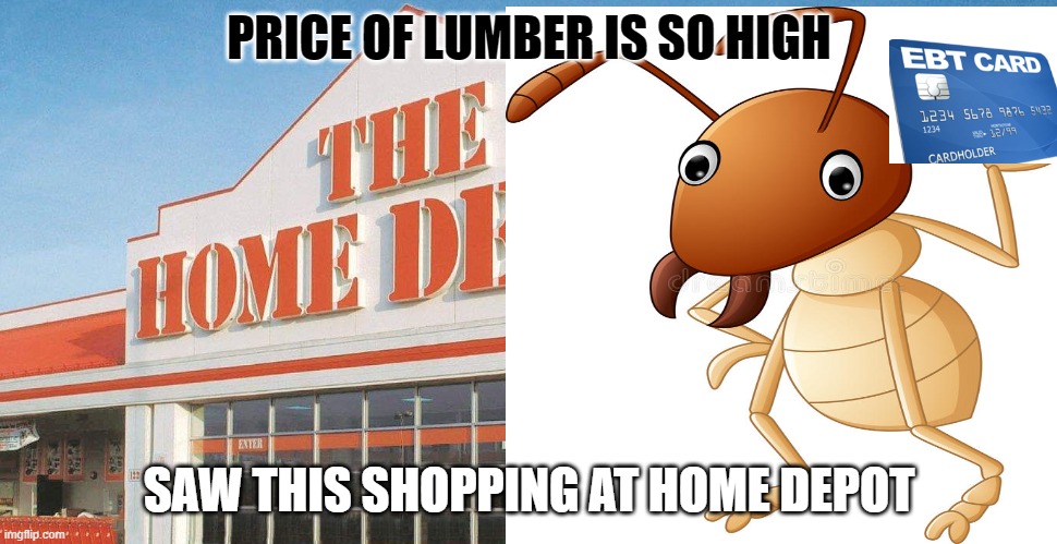 Termite Shopping w/ EBT Card | PRICE OF LUMBER IS SO HIGH; SAW THIS SHOPPING AT HOME DEPOT | image tagged in termite,lumber | made w/ Imgflip meme maker