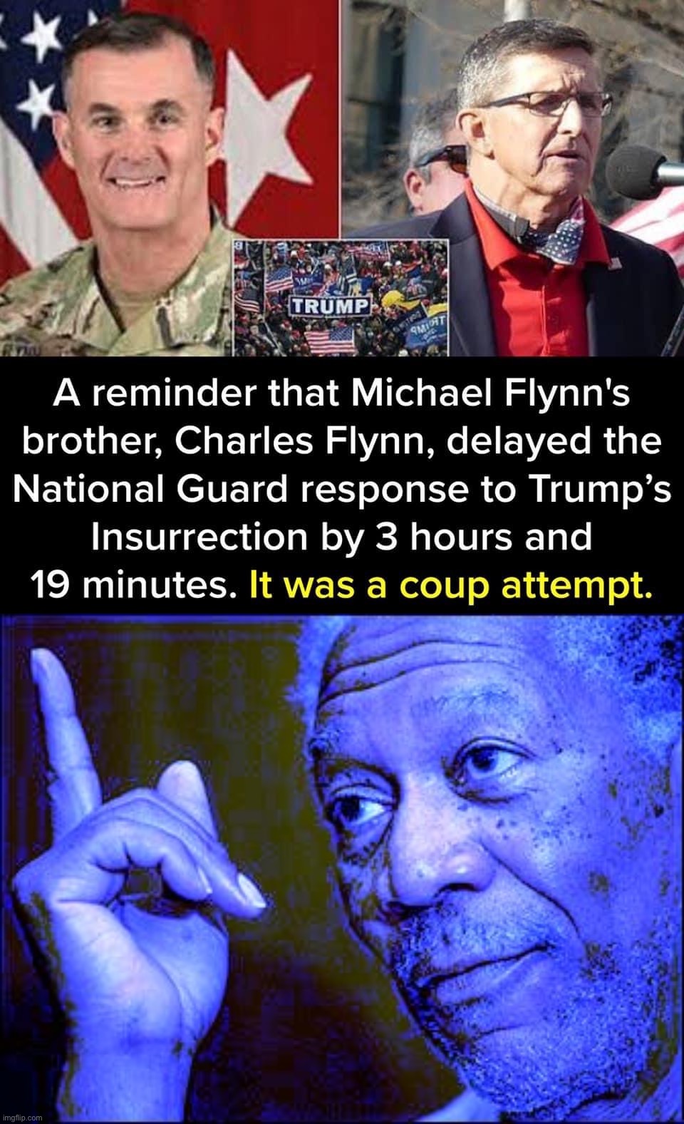Let that sink in. Then let it sink in some more. | image tagged in michael flynn coup attempt,morgan freeman this blue version,coup,traitor,traitors | made w/ Imgflip meme maker