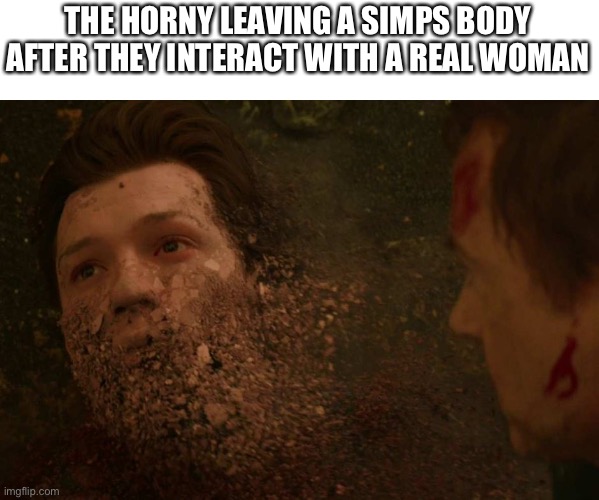 Change da world... my final message | THE HORNY LEAVING A SIMPS BODY AFTER THEY INTERACT WITH A REAL WOMAN | image tagged in spiderman getting thanos snapped | made w/ Imgflip meme maker