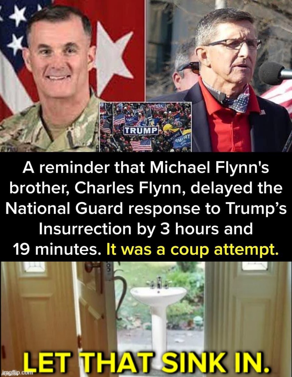 image tagged in michael flynn coup attempt,let that sink in,coup | made w/ Imgflip meme maker