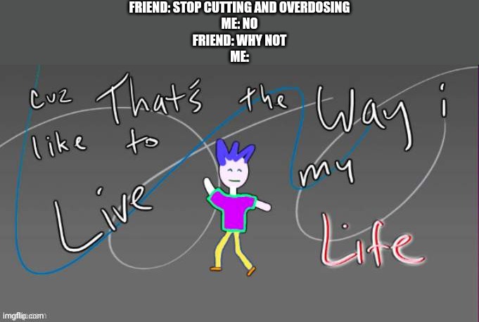 Cuz that's the way I like to live my life | FRIEND: STOP CUTTING AND OVERDOSING
ME: NO
FRIEND: WHY NOT
ME: | image tagged in cuz that's the way i like to live my life | made w/ Imgflip meme maker