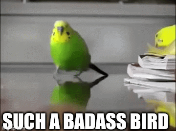 5c69mk.gif