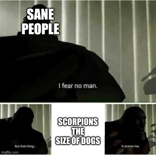 This happened a long time ago | SANE PEOPLE; SCORPIONS THE SIZE OF DOGS | image tagged in i fear no man,but,giant,insects,scare,me | made w/ Imgflip meme maker
