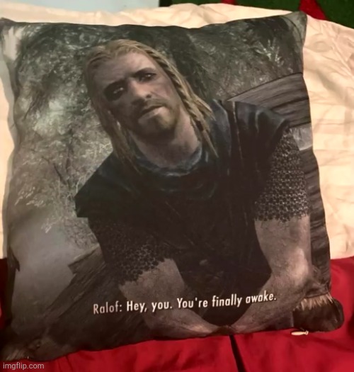 a pillow for gamers | image tagged in gaming,hey you're finally awake,skyrim,pillow | made w/ Imgflip meme maker